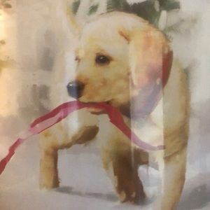 Meet your Posher, Kenton